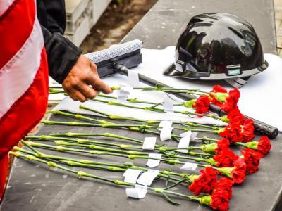 carnations and hard hat