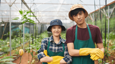 Image of child labor
