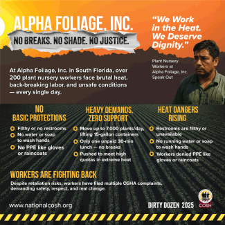 img-Alpha Foliage