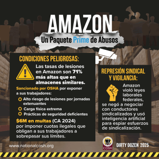 img-Amazon 2025 ESP