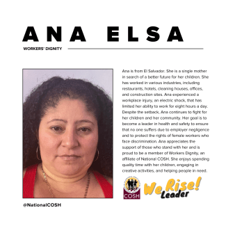 Ana Elsa Bio