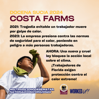 Costa Farms Docena Sucia 2024