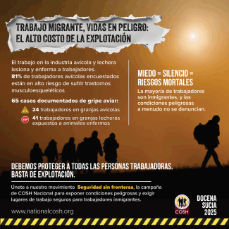 img-DS25 immigrants