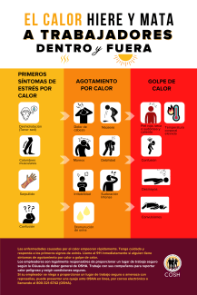 Infografía mostrando los síntomas de estrés, agotamiento y paro por calor, 