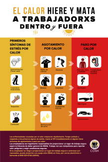 Infografía mostrando los síntomas de estrés, agotamiento y paro por calor, 