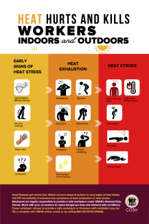 Infographic showing the signs of heat stress, heat exhaustion, and heat stroke.