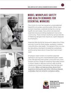 Model Workplace Cover