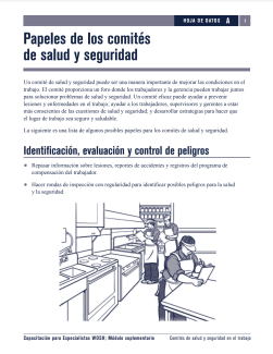 Papeles de Comites de Seguridad