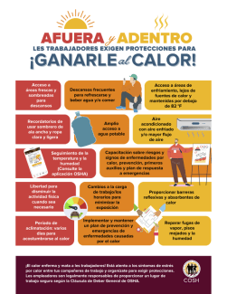 Infografía mostrando diferentes síntomas de estrés por calor