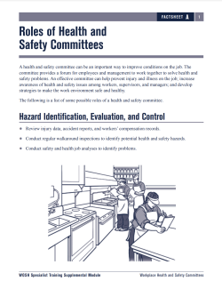 Roles HS Committees