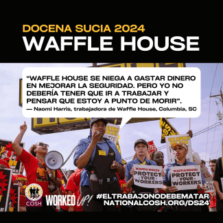 Waffle House Docena Sucia 2024