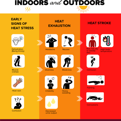 Infographic showing the signs of heat stress, heat exhaustion, and heat stroke.